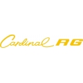 Cessna Cardinal RG Aircraft Decal/Logo 3.5''h x 21''w!